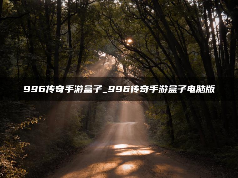 996传奇手游盒子_996传奇手游盒子电脑版
