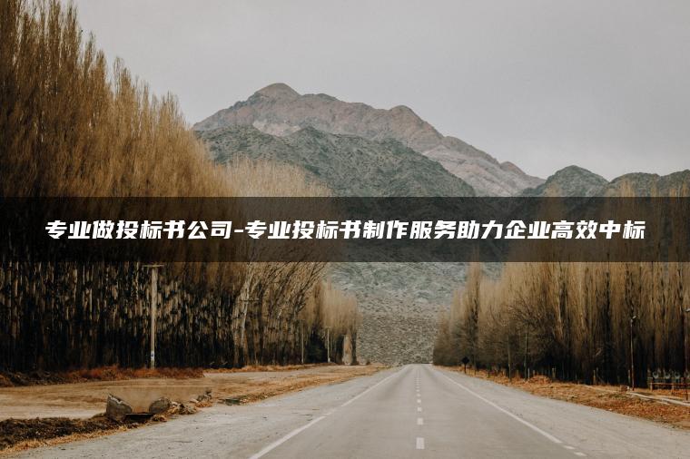 专业做投标书公司-专业投标书制作服务助力企业高效中标