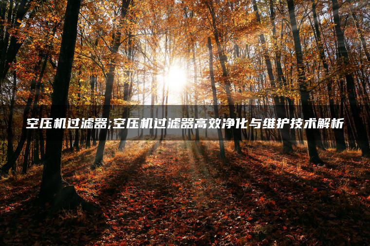 空压机过滤器;空压机过滤器高效净化与维护技术解析