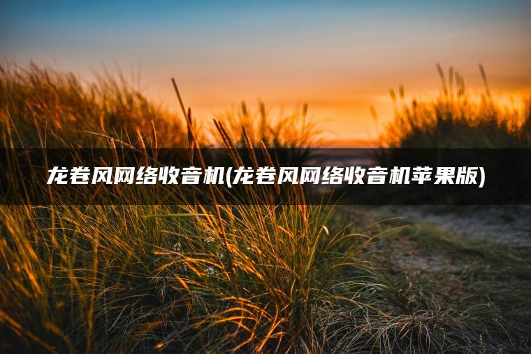 龙卷风网络收音机(龙卷风网络收音机苹果版)
