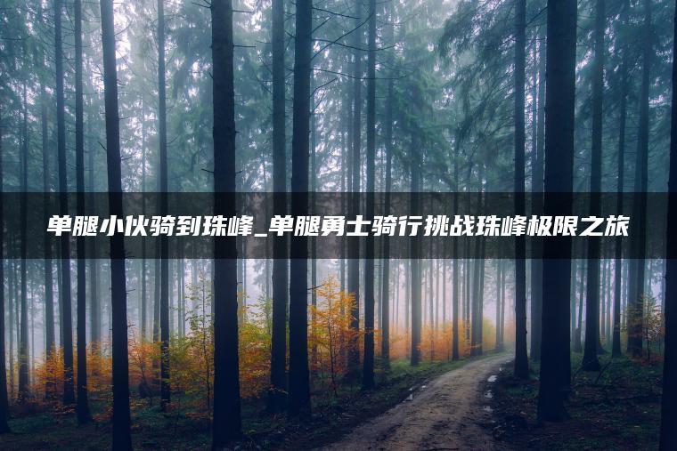 单腿小伙骑到珠峰_单腿勇士骑行挑战珠峰极限之旅