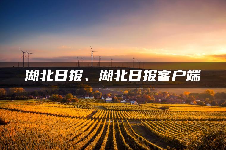湖北日报、湖北日报客户端