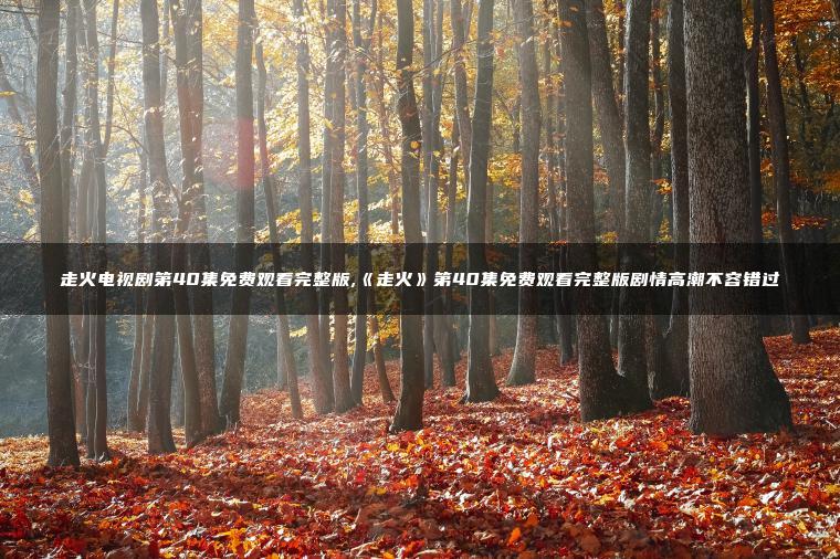 走火电视剧第40集免费观看完整版,《走火》第40集免费观看完整版剧情高潮不容错过