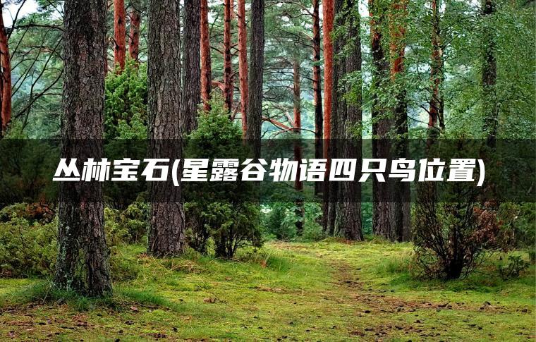 丛林宝石(星露谷物语四只鸟位置)