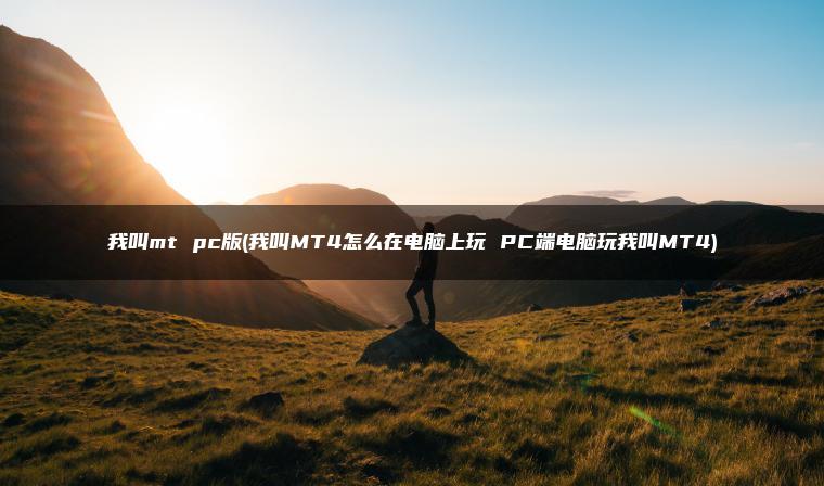 我叫mt pc版(我叫MT4怎么在电脑上玩 PC端电脑玩我叫MT4)