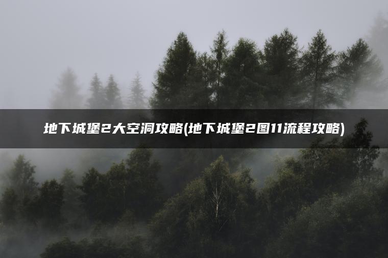 地下城堡2大空洞攻略(地下城堡2图11流程攻略)