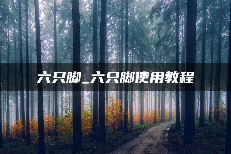 六只脚_六只脚使用教程