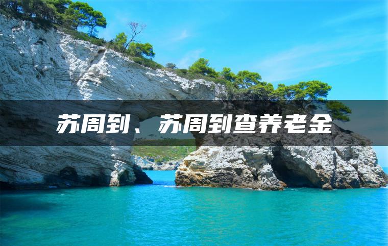 苏周到、苏周到查养老金