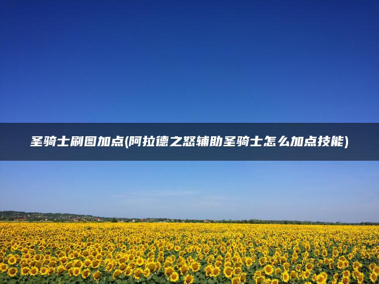 圣骑士刷图加点(阿拉德之怒辅助圣骑士怎么加点技能)