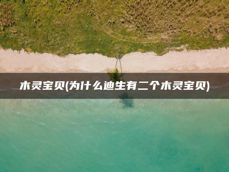木灵宝贝(为什么迪生有二个木灵宝贝)