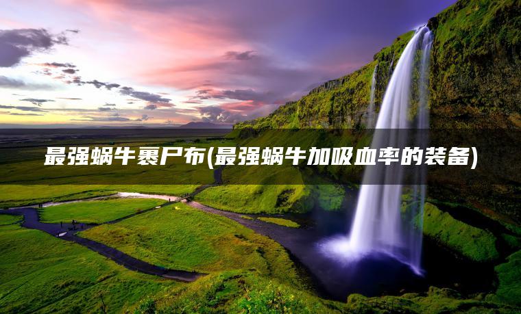 最强蜗牛裹尸布(最强蜗牛加吸血率的装备)
