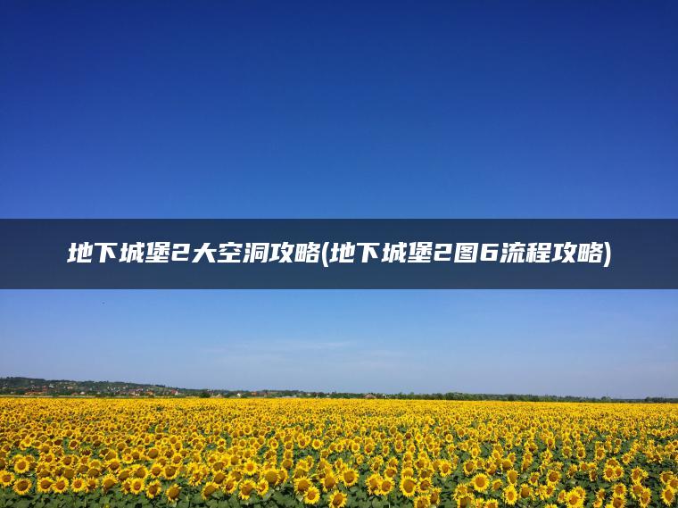 地下城堡2大空洞攻略(地下城堡2图6流程攻略)