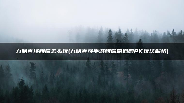 九阴真经峨眉怎么玩(九阴真经手游峨眉离别刺PK玩法解析)