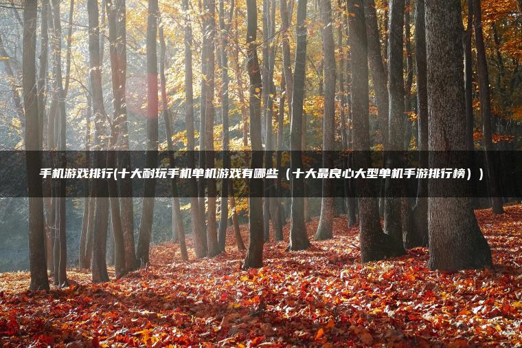 手机游戏排行(十大耐玩手机单机游戏有哪些（十大最良心大型单机手游排行榜）)