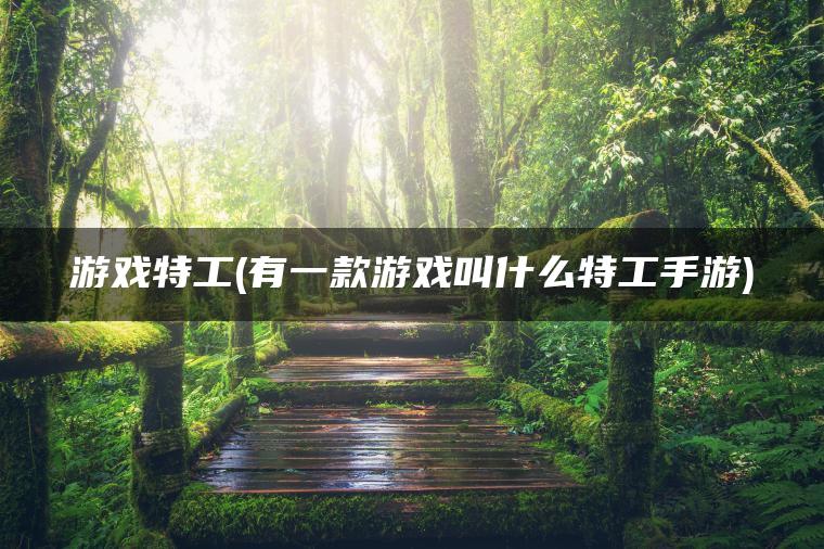 游戏特工(有一款游戏叫什么特工手游)
