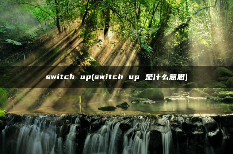 switch up(switch up 是什么意思)
