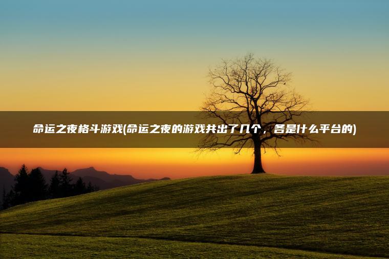 命运之夜格斗游戏(命运之夜的游戏共出了几个，各是什么平台的)