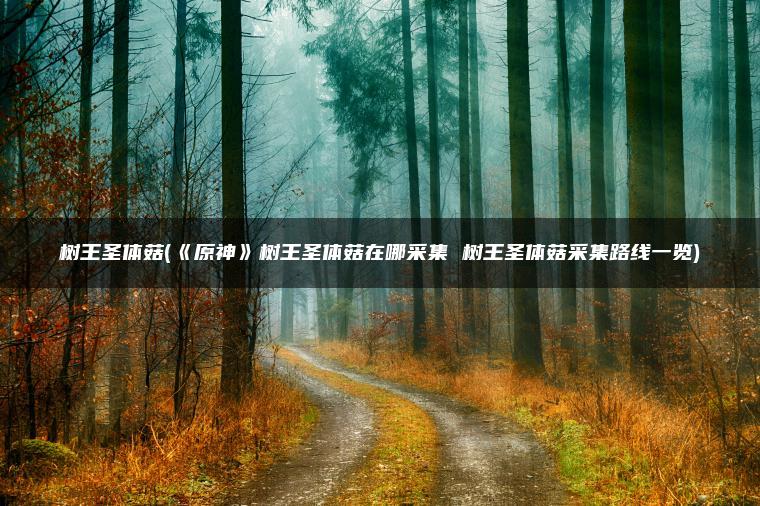 树王圣体菇(《原神》树王圣体菇在哪采集 树王圣体菇采集路线一览)