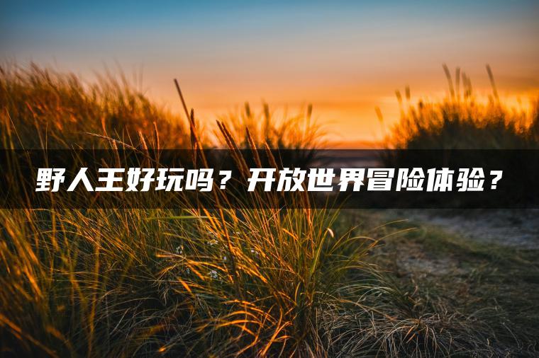野人王好玩吗？开放世界冒险体验？