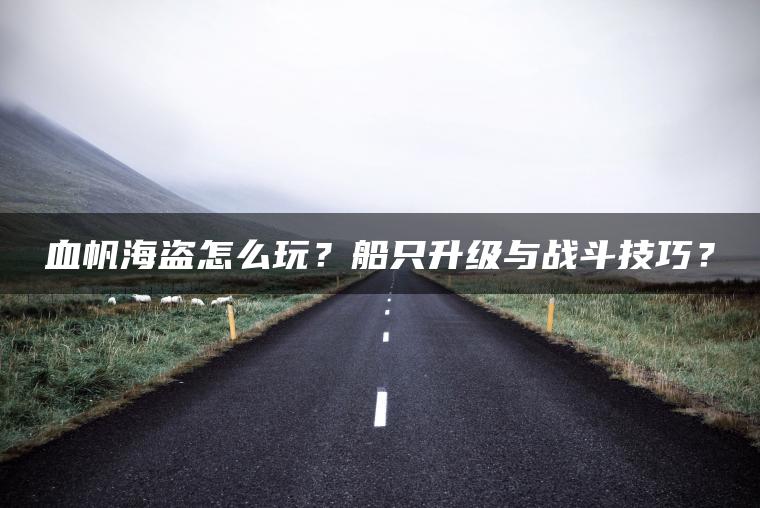 血帆海盗怎么玩？船只升级与战斗技巧？