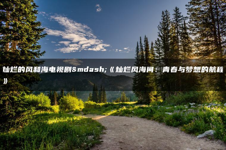 灿烂的风和海电视剧—《灿烂风海间：青春与梦想的航程》