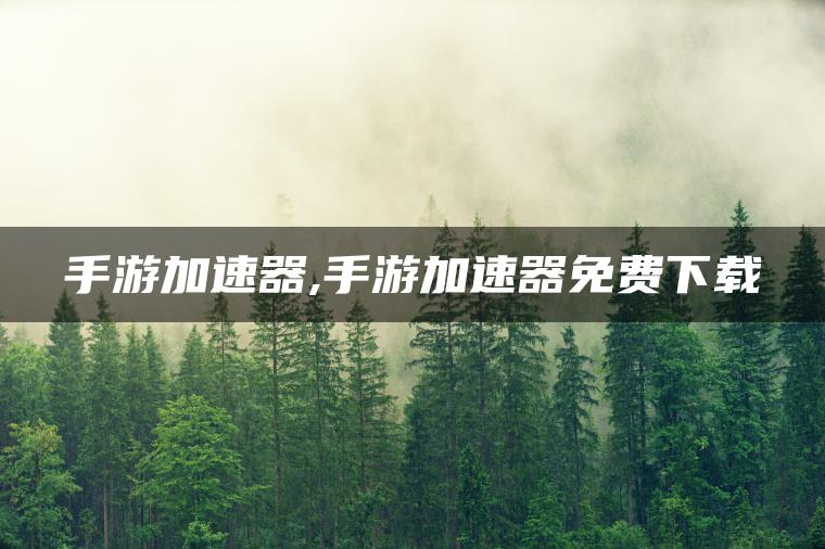 手游加速器,手游加速器免费下载