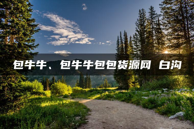 包牛牛、包牛牛包包货源网 白沟