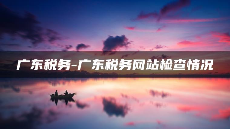 广东税务-广东税务网站检查情况