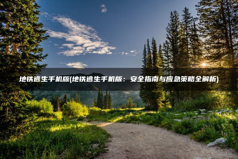 地铁逃生手机版(地铁逃生手机版：安全指南与应急策略全解析)