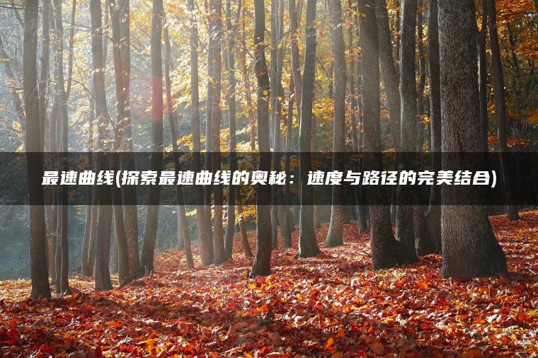 最速曲线(探索最速曲线的奥秘：速度与路径的完美结合)