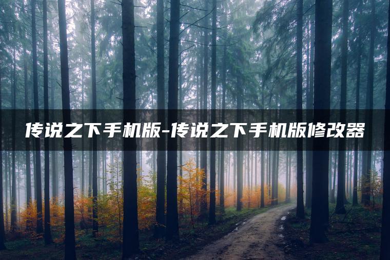 传说之下手机版-传说之下手机版修改器