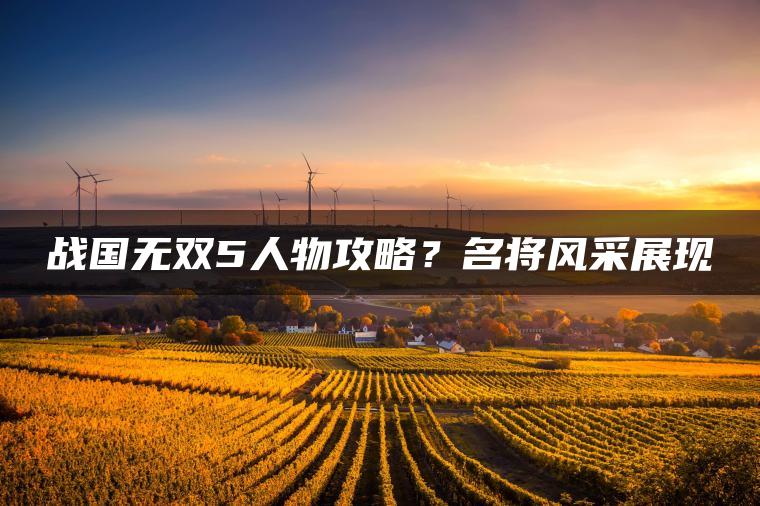 战国无双5人物攻略？名将风采展现