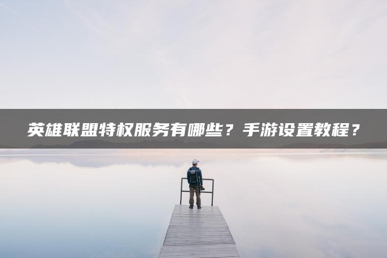 英雄联盟特权服务有哪些？手游设置教程？
