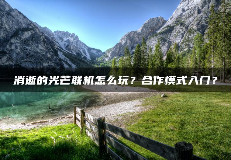 消逝的光芒联机怎么玩？合作模式入门？