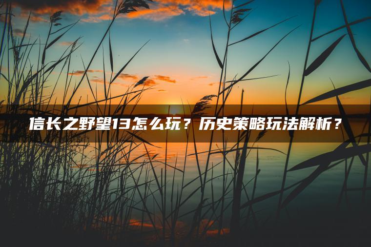 信长之野望13怎么玩？历史策略玩法解析？