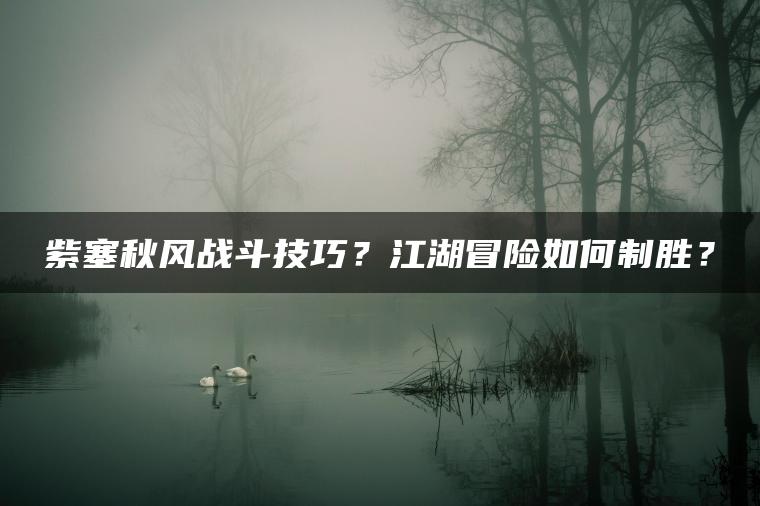 紫塞秋风战斗技巧？江湖冒险如何制胜？