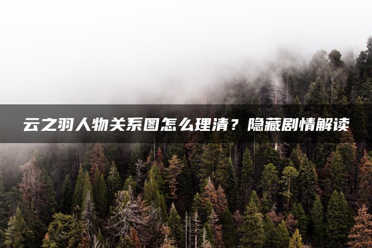 云之羽人物关系图怎么理清？隐藏剧情解读