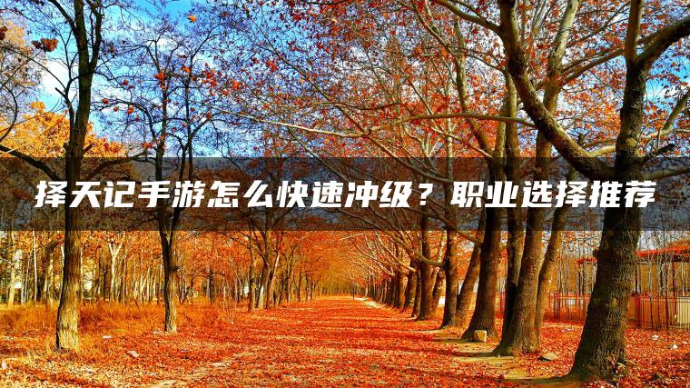 择天记手游怎么快速冲级？职业选择推荐