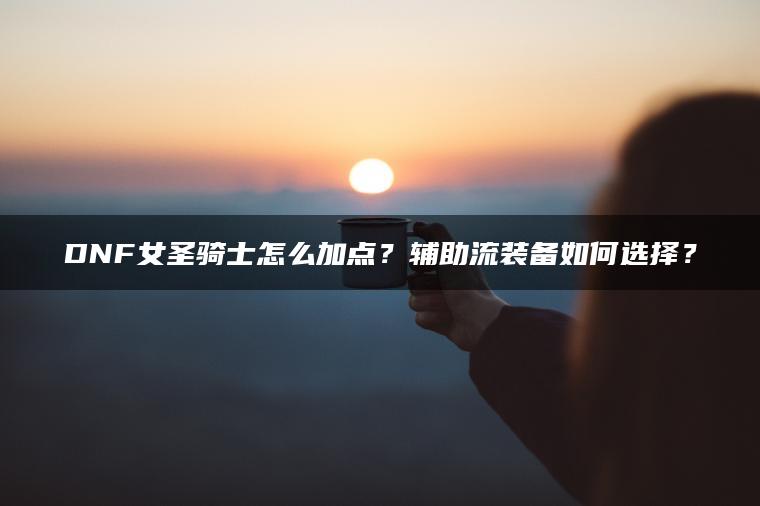 DNF女圣骑士怎么加点？辅助流装备如何选择？