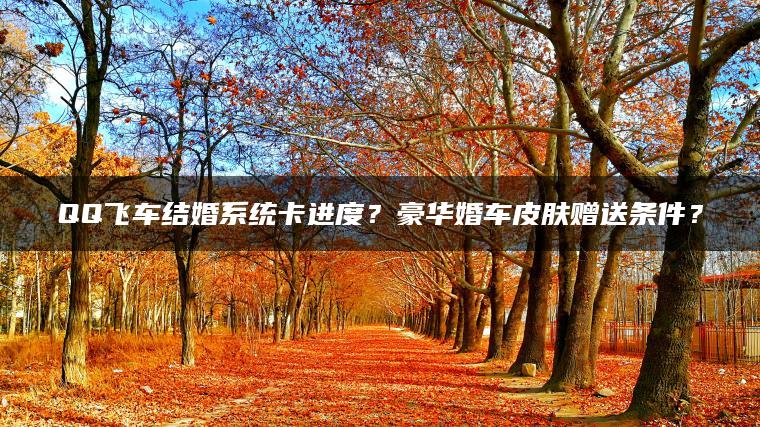 QQ飞车结婚系统卡进度？豪华婚车皮肤赠送条件？