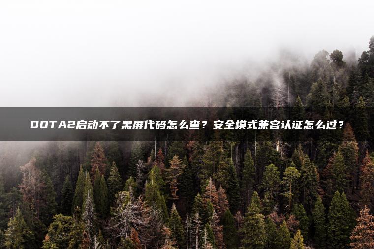 DOTA2启动不了黑屏代码怎么查？安全模式兼容认证怎么过？