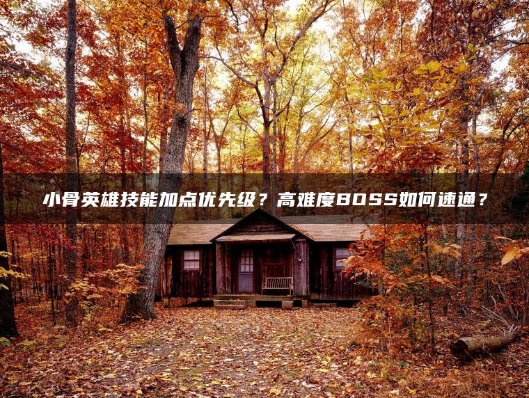 小骨英雄技能加点优先级？高难度BOSS如何速通？