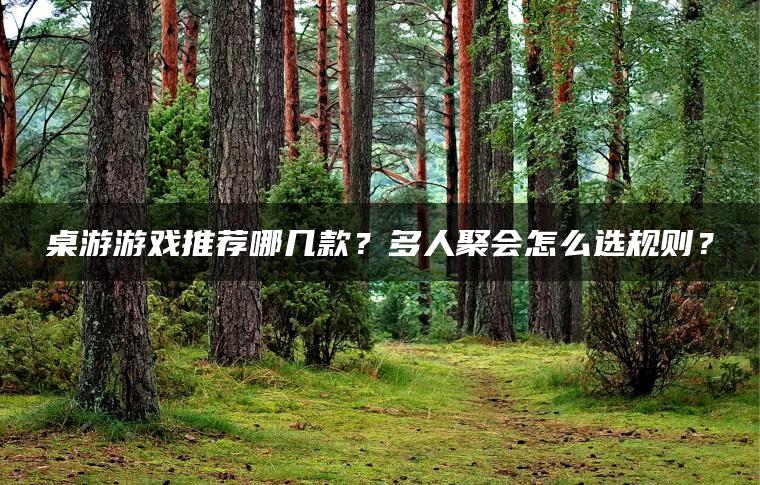桌游游戏推荐哪几款？多人聚会怎么选规则？