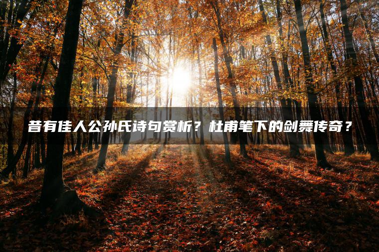 昔有佳人公孙氏诗句赏析？杜甫笔下的剑舞传奇？