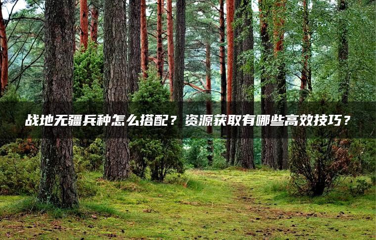 战地无疆兵种怎么搭配？资源获取有哪些高效技巧？