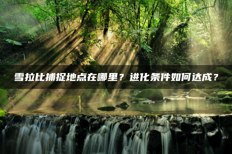 雪拉比捕捉地点在哪里？进化条件如何达成？