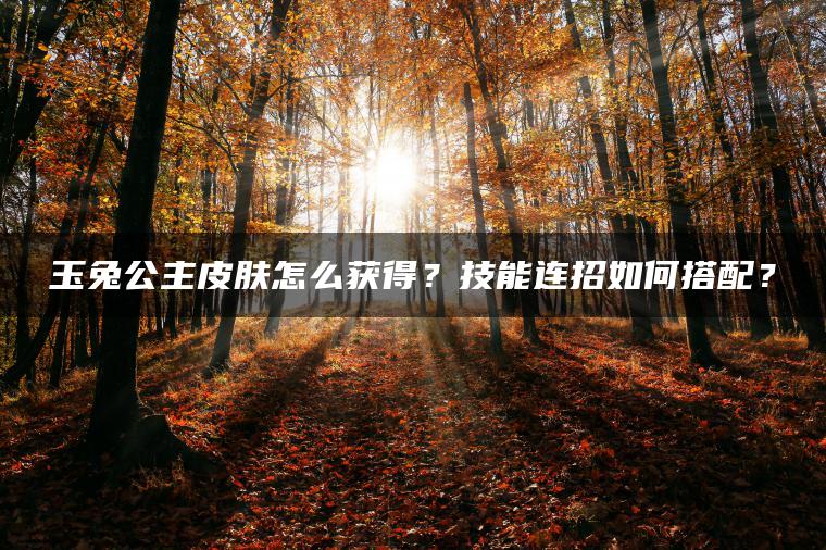 玉兔公主皮肤怎么获得？技能连招如何搭配？
