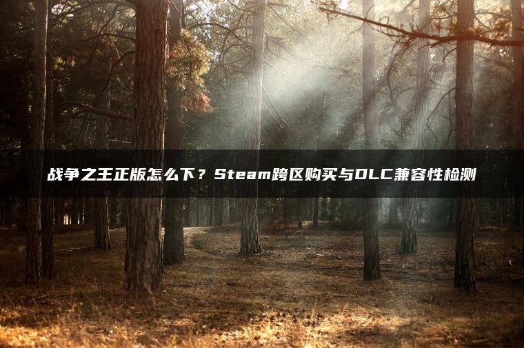 战争之王正版怎么下？Steam跨区购买与DLC兼容性检测