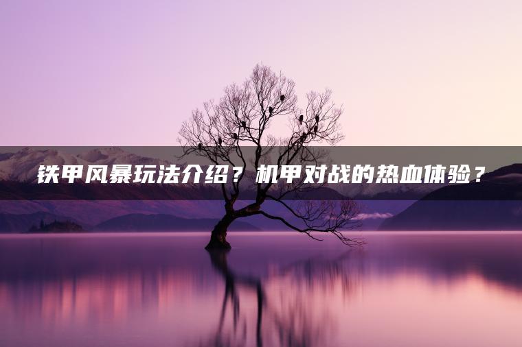 铁甲风暴玩法介绍？机甲对战的热血体验？