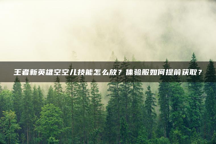 王者新英雄空空儿技能怎么放？体验服如何提前获取？